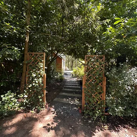 Enchanted Garden *
